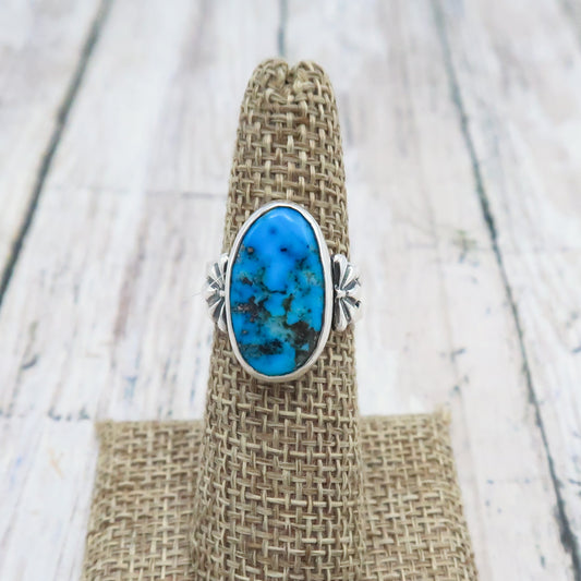 Ithaca Peak Turquoise and Sterling Silver Ring